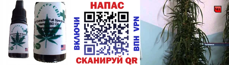 Купить закладки  Салават  Еда ТГК конопля 