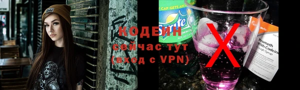 индика Волосово