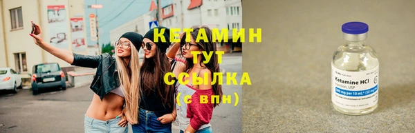 индика Волосово