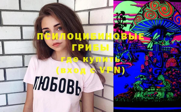 индика Волосово