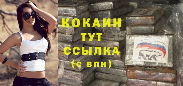 индика Волосово